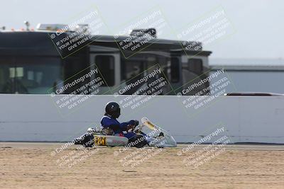 media/Mar-29-2025-Pro Autosports (Sat) [[89b1c017ad]]/6-Purple Group/Main Race/